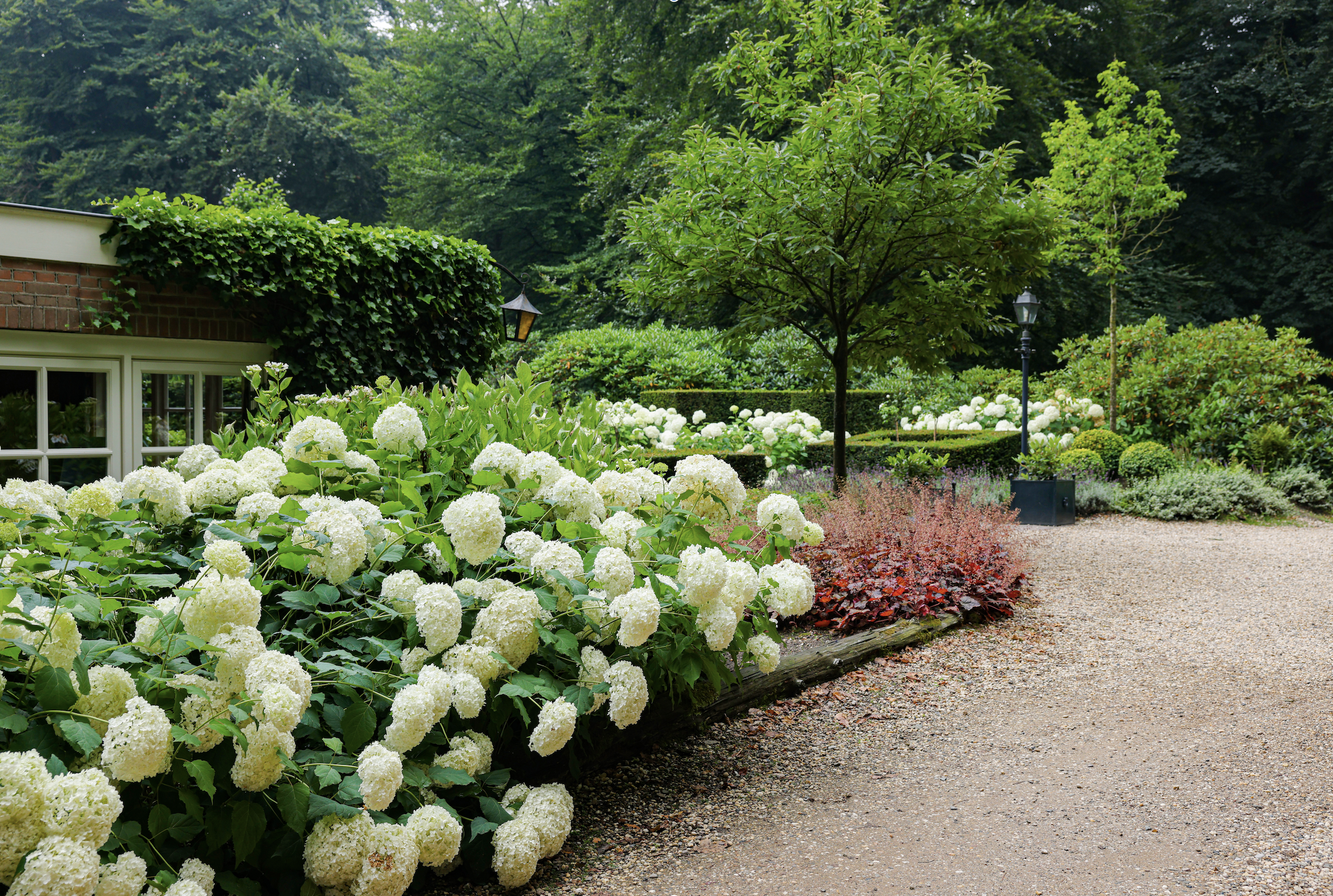 Landscaping and exterior improvement service